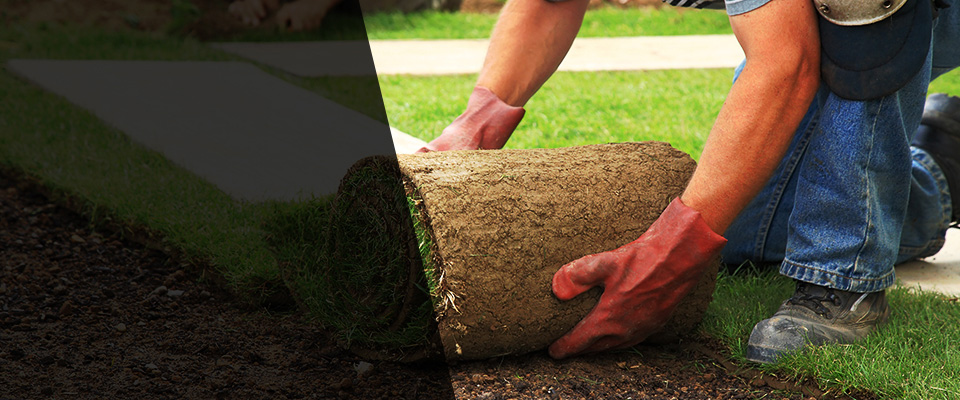 Bumpass Landscapers
